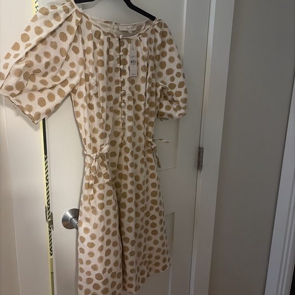 LOFT Dresses & Skirts - NWT LOFT Cream and Tan Polka Dot Dress size 0